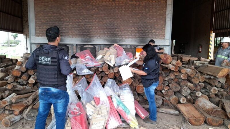 Polícia Civil incinera mais 456 quilos de entorpecentes em Rondonópolis