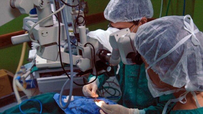 Hospitais universitários são referência em transplantes de órgãos