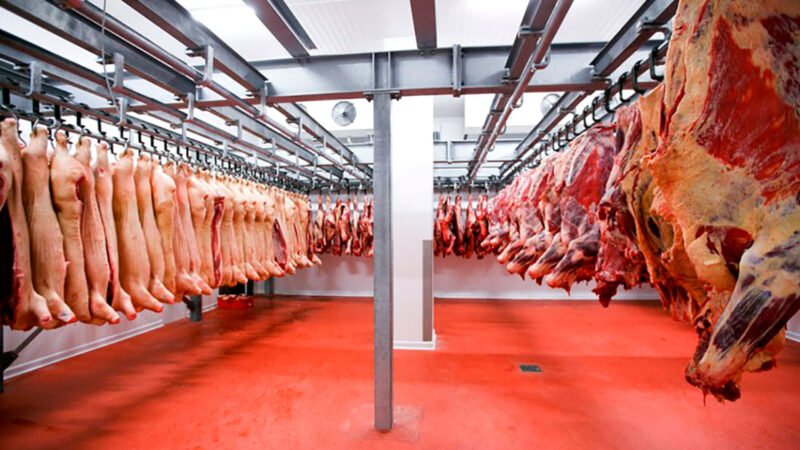 Mato Grosso tem queda no volume de carne vendido no exterior