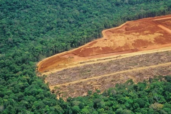 Desmatamento na Amazônia triplica em março e faz trimestre fechar como o 2º pior desde 2008