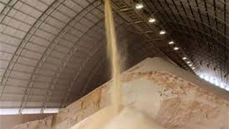 Preço do farelo de soja em Mato Grosso cai 7,9%