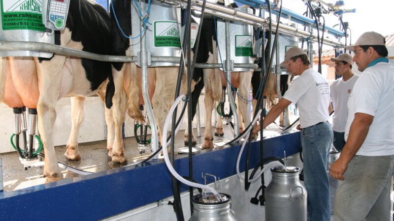 Cai 16% volume de captação de leite em Mato Grosso 