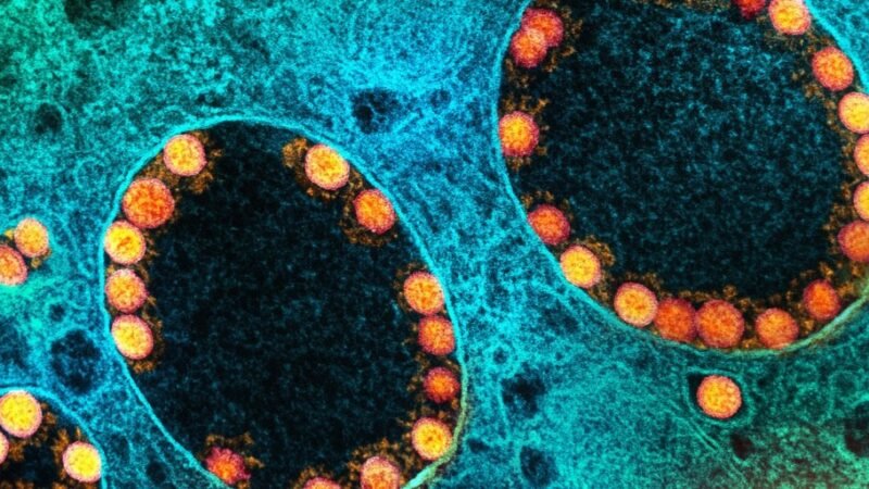 Fim da emergência de saúde pública foi acertada, avaliam especialistas