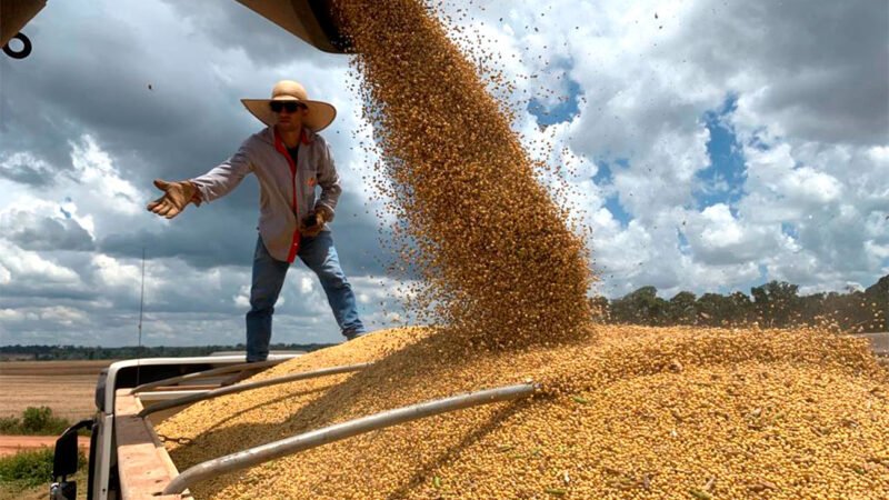 Produtores ‘seguram’ venda de soja em Mato Grosso devido a queda de preço, diz instituto