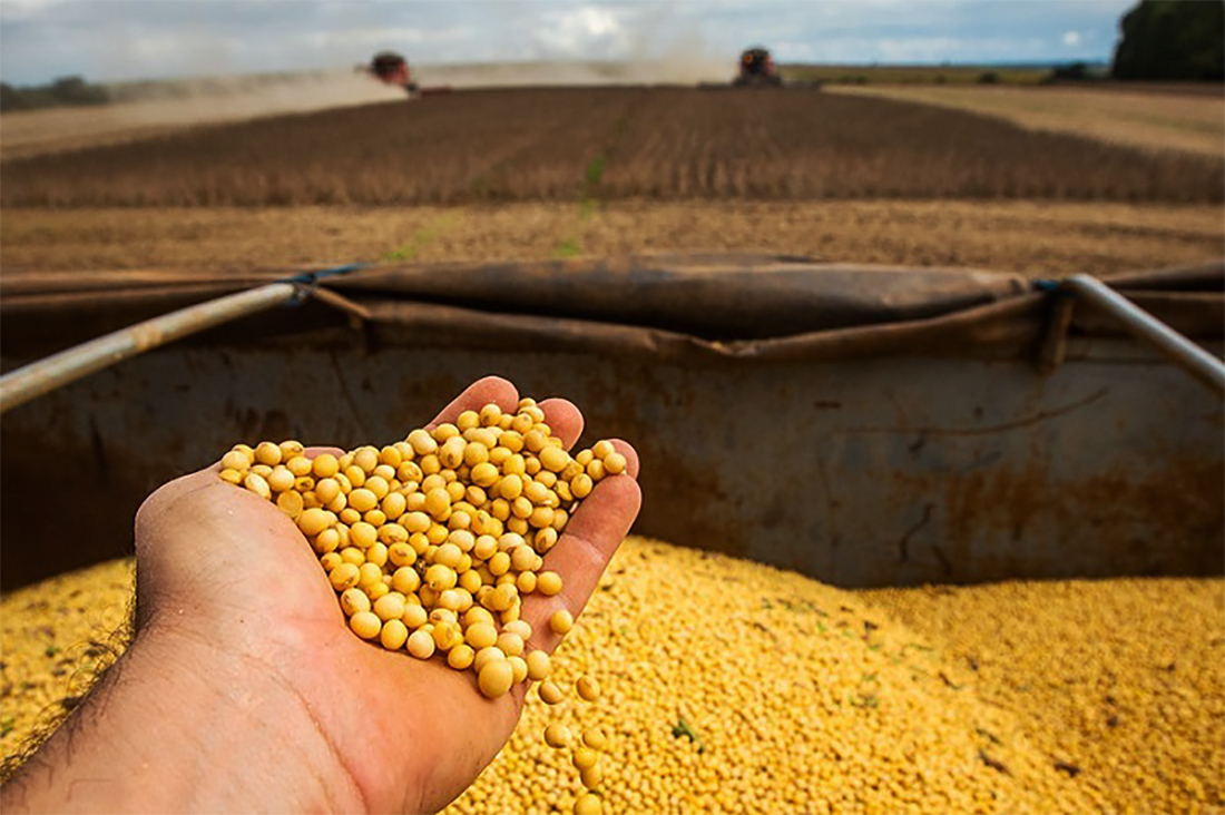 Soja disponível em Mato Grosso tem a 3ª semana de queda nos preços