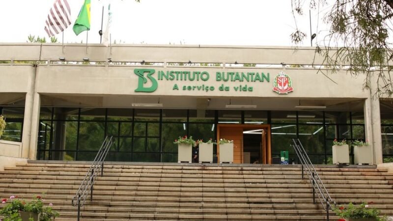 Gripe aviária: Instituto Butantan começa a desenvolver vacina