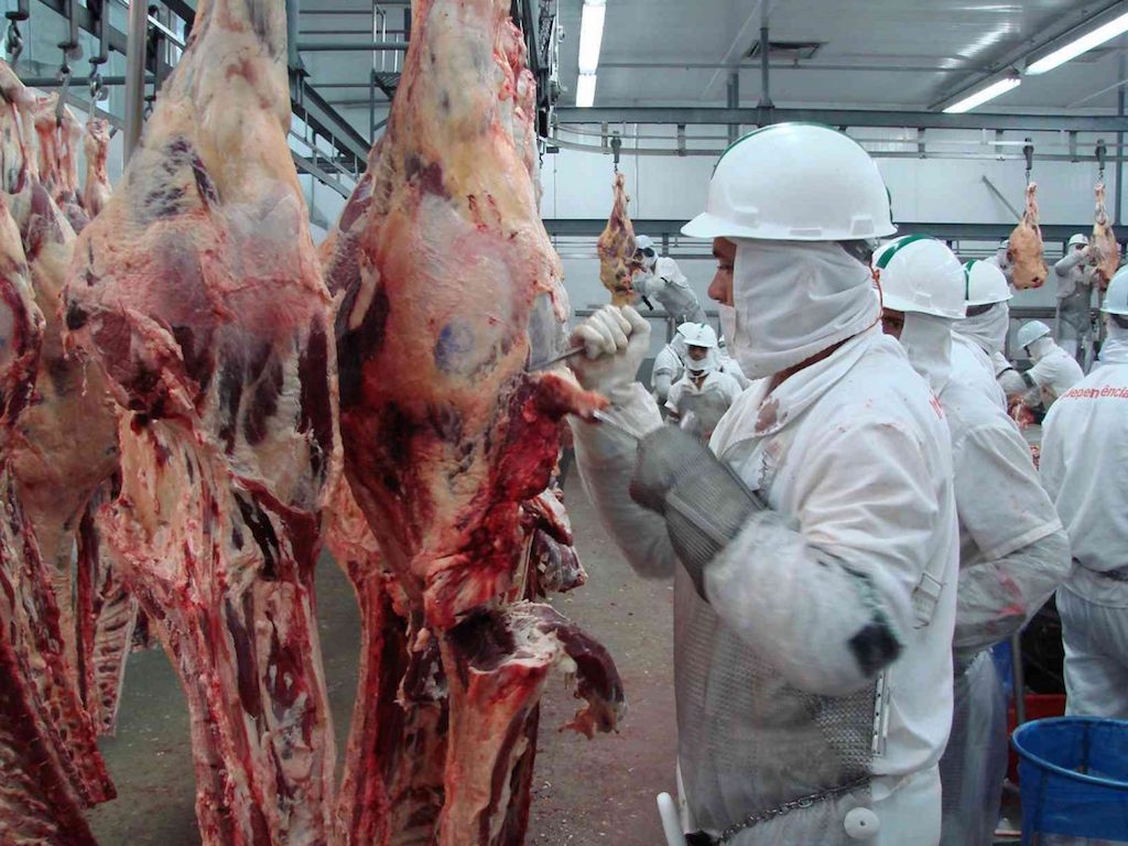 Mato Grosso tem leve redução no abate de gado mas abril registra recorde