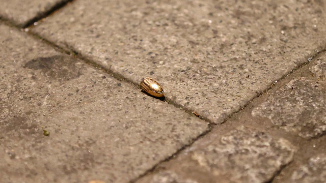 Homem é morto a tiros durante comemoração da conquista do Italiano pelo Napoli