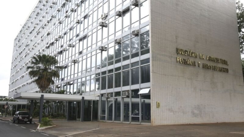 Brasil tem primeiro caso de influenza aviária em aves domésticas