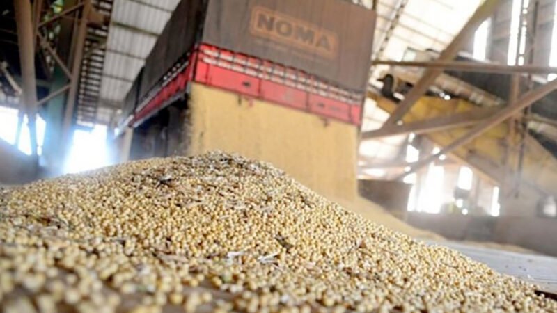 Venda de soja em Mato Grosso avança; queda no preço baixa ritmo