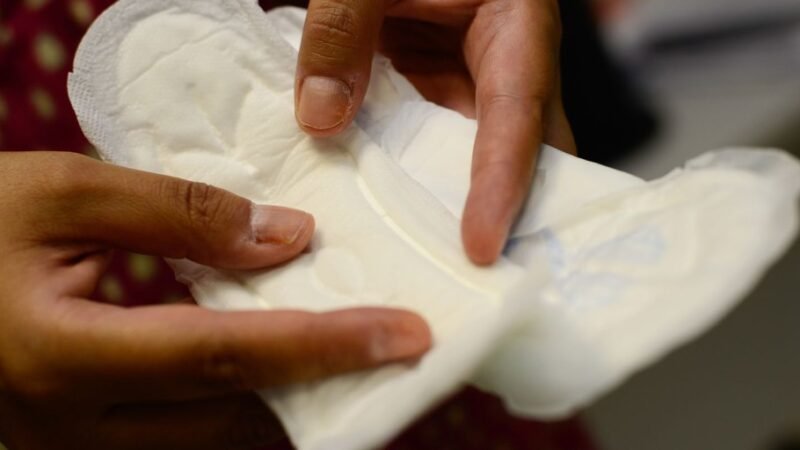 Distribuição de absorventes beneficiará 24 milhões de mulheres