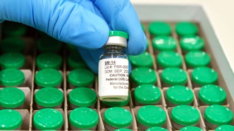 Vacina contra esquistossomose estará disponível no SUS em 2025