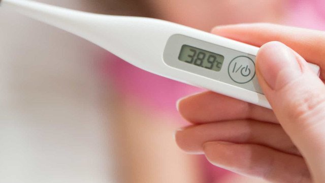 É hora de temer a febre maculosa? Veja quando se preocupar com a doença