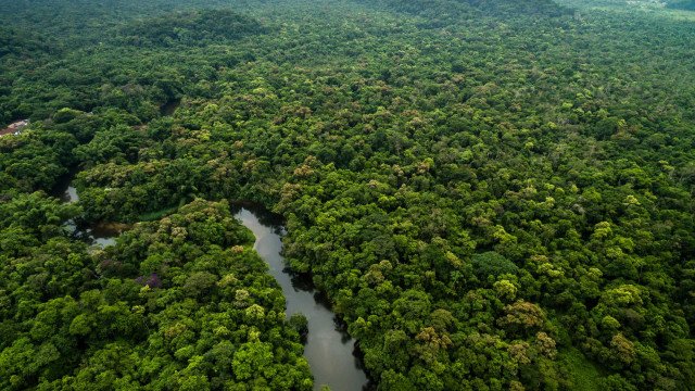 Por que El Niño pode ser a ‘tempestade perfeita’ para destruição da Amazônia
