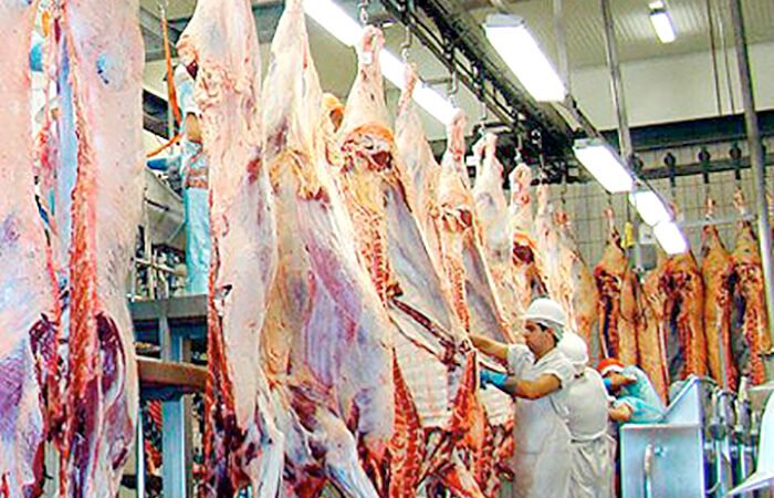 Mato Grosso amplia 25% volume de carne vendida para o exterior; China segue maior cliente