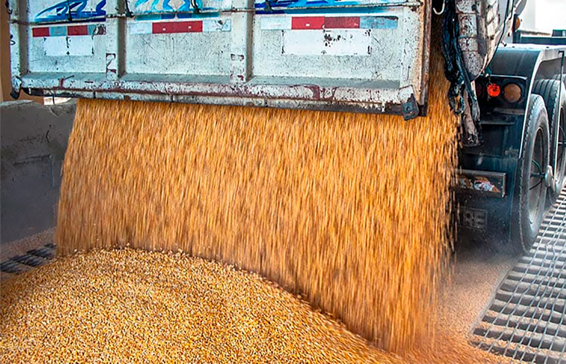 Preço médio da soja disponível em Mato Grosso sobe