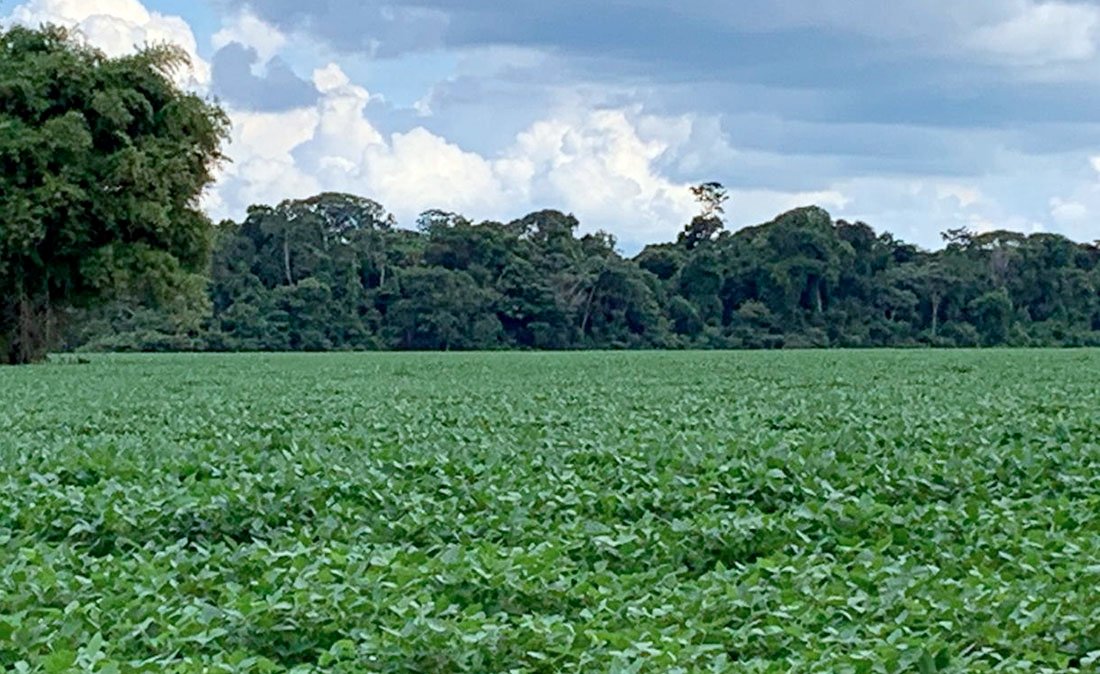Custo operacional efeito da soja em Mato Grosso é 7,8% menor em relação a safra passada