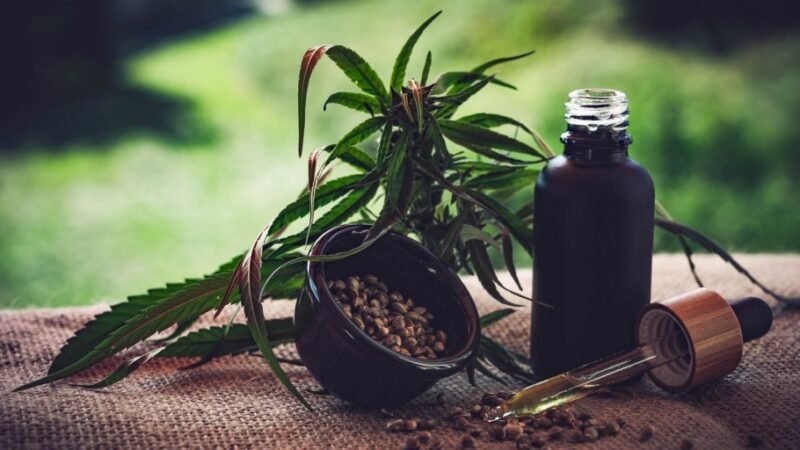 STJ autoriza três pacientes a cultivarem cannabis para fins medicinais