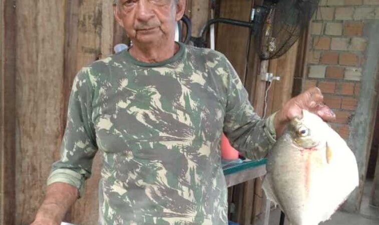 Idoso de 68 anos morre após ser atingido na cabeça por árvore em Guarantã do Norte