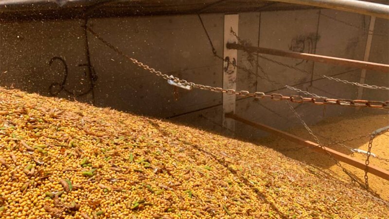 Soja disponível em Mato Grosso aumenta e média vai R$ 117