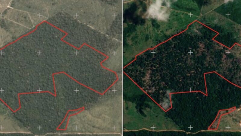 SEMA passa a embargar áreas desmatadas ilegalmente mesmo sem identificar dono ‘fechando cerco a infratores’