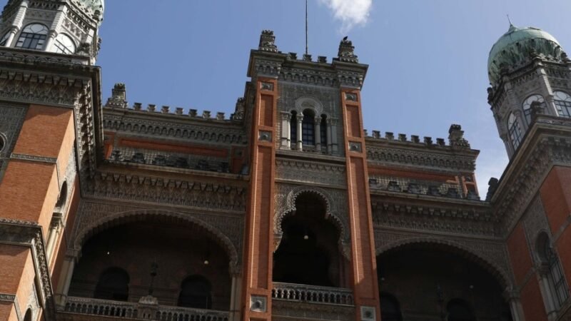 Casos de rinovírus continuam em alta entre crianças, diz Fiocruz