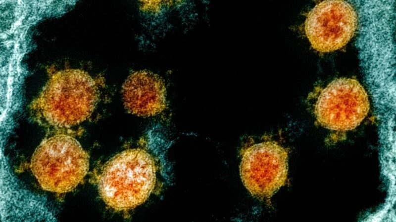 Mais de 50% da população quer julgamentos por mortes de covid-19