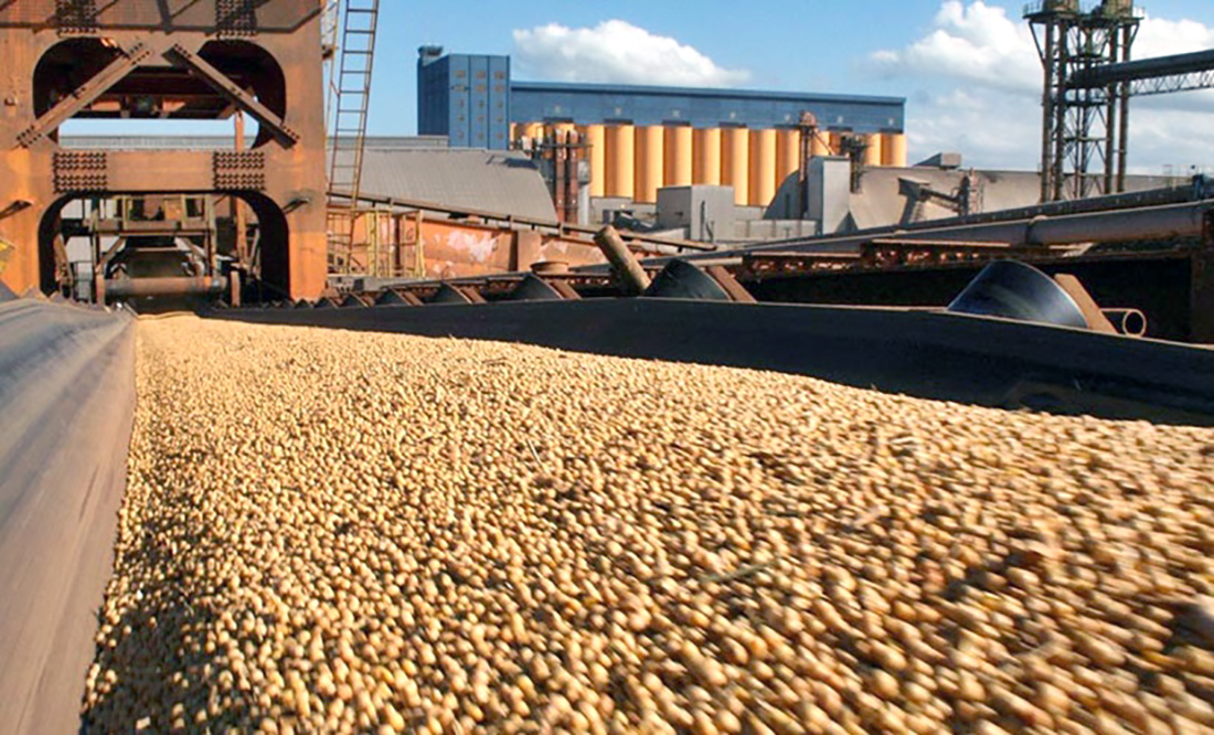 Mato Grosso tem novo recorde no esmagamento de soja, aponta instituto