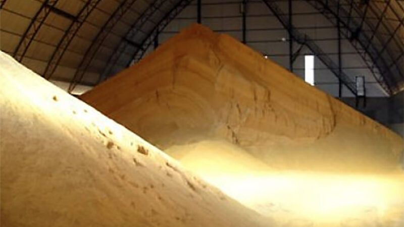 Cotação do farelo de soja em Mato Grosso aumenta 3,1%
