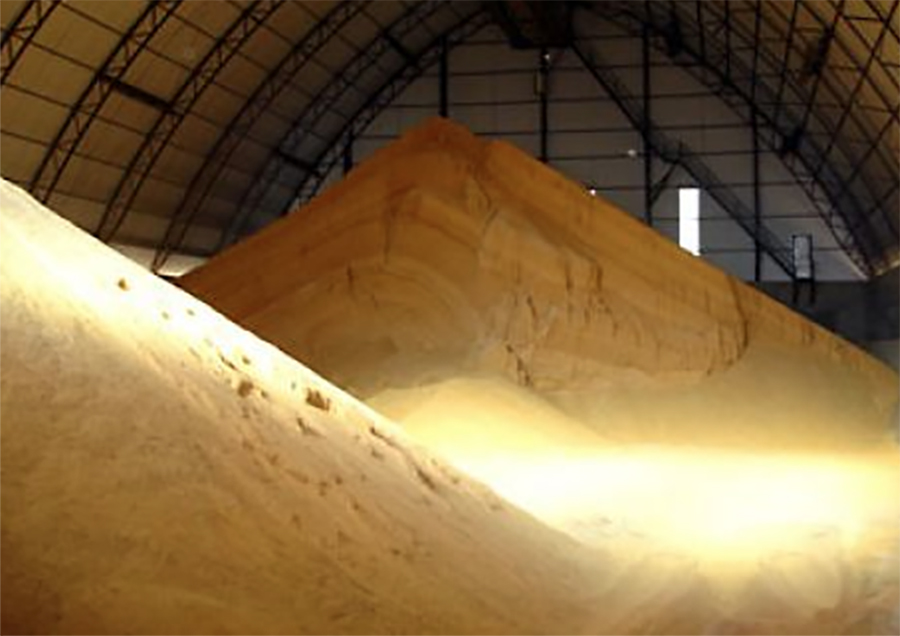 Cotação do farelo de soja em Mato Grosso aumenta 3,1%
