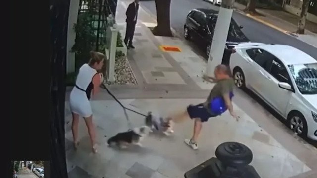 Homem que agrediu irmã de Zanin e cães é indiciado por lesão corporal e maus-tratos a animais