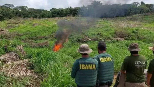 Políticos e fornecedores de grandes frigoríficos são invasores de terra indígena no Pará, diz MPF