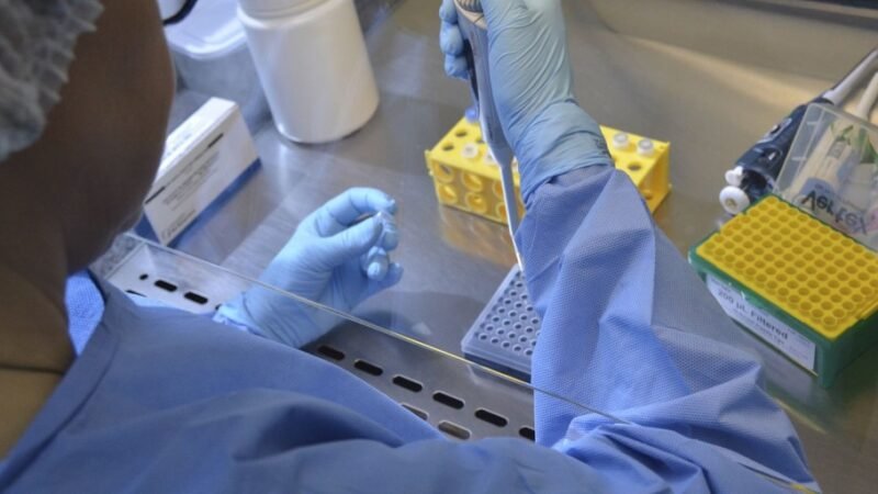 Vacina da chikungunya induz resposta imune em 98,8% dos vacinados