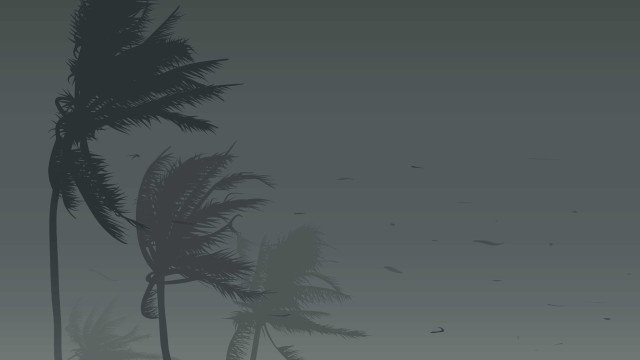 SP tem três mortes após temporal com ventos de mais de 100 km/h