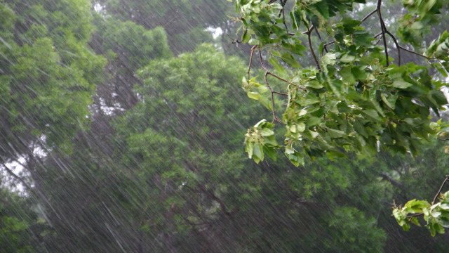 Litorais de SP e Rio têm alertas de ventos fortes para esta quarta (8) e quinta (9)