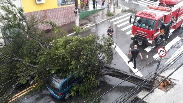 Caos pós-temporal expõe atraso de SP para lidar com eventos climáticos