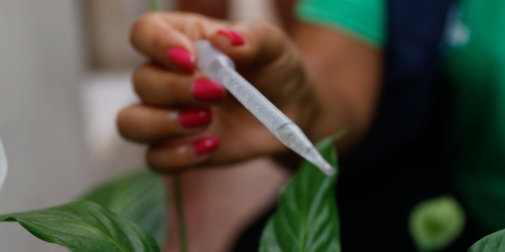 Incorporação de vacina contra dengue ao SUS deve sair ainda este ano