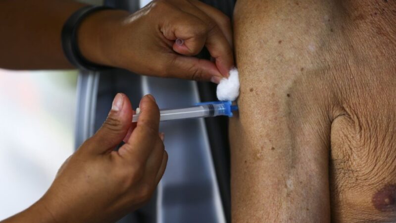 Registro de vacina contra bronquite é aprovado pela Anvisa