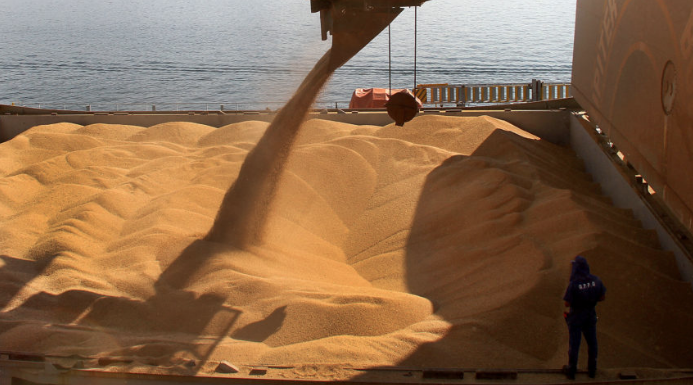 Milho disponível em Mato Grosso sobe 5% e média vai a R$ 37