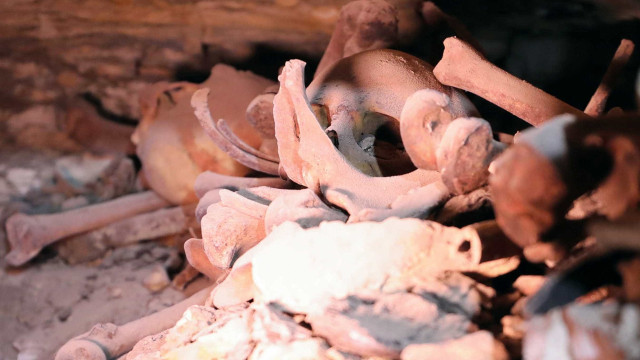 Fósseis que podem ser de titanossauro são encontrados durante obra em Minas