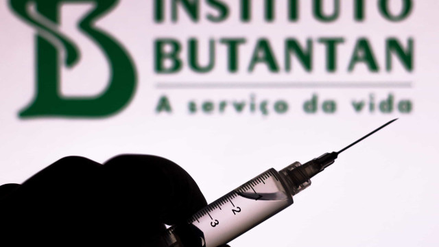 Instituto Butantan desenvolve vacina contra zika vírus para gestantes