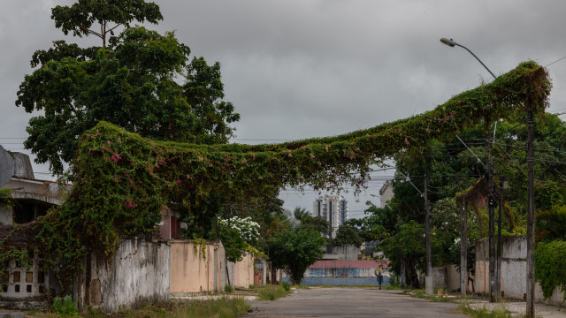 Ministério descarta risco de novo rompimento em mina da Braskem; especialistas contestam