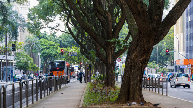 São Paulo terá ônibus gratuito aos domingos a partir do dia 17, ao custo de R$ 238 mi anuais
