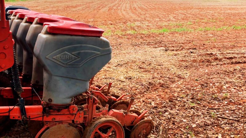 Nortão está na dianteira no plantio de milho em Mato Grosso