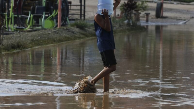 Especialistas alertam sobre risco de doenças trazidas por chuva forte