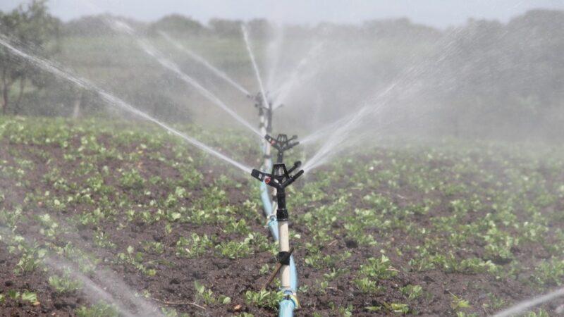 Pesquisadores da UFMT de Sinop iniciam projeto para auxiliar pequenos produtores na irrigação