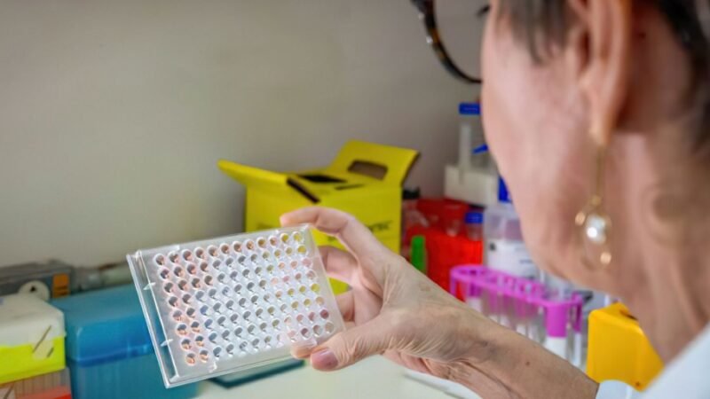 Butantan desenvolve teste que detecta leptospirose em estágio inicial