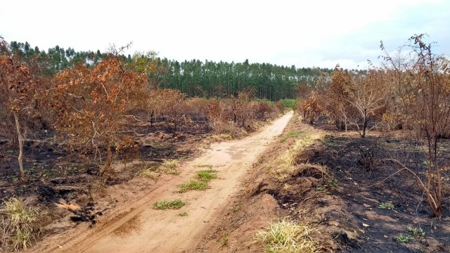 Venezuela diz ter destruído pista clandestina usada por garimpo na terra yanomami