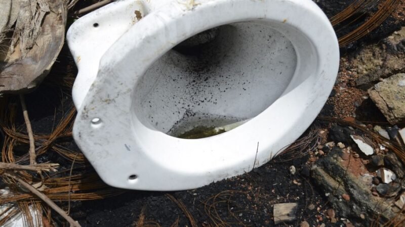 Casos de dengue no estado do Rio aumentam 56% em uma semana