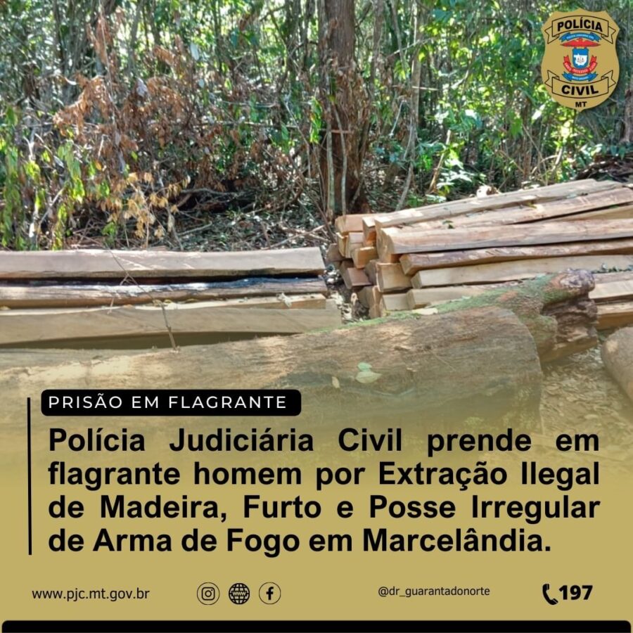 Marcelândia: Polícia Judiciária Civil prende homem por extração ilegal de madeira, furto e posse irregular de arma de fogo